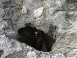 La Cueva del Indio Arecibo - ARECIBO
